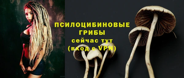 герыч Михайловск
