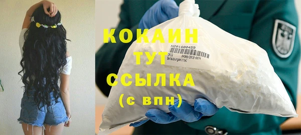 крисы Алзамай