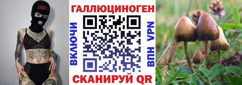 Псилоцибиновые грибы Psilocybe  Самара 